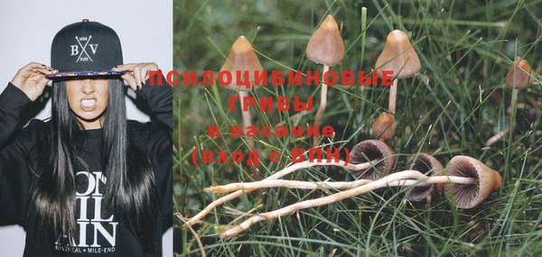 не бодяженный Аркадак