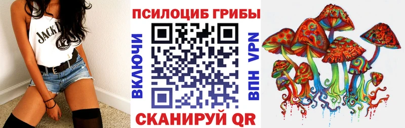 гидра ссылка  Ржев  маркетплейс Telegram  закладки  Псилоцибиновые грибы мицелий 